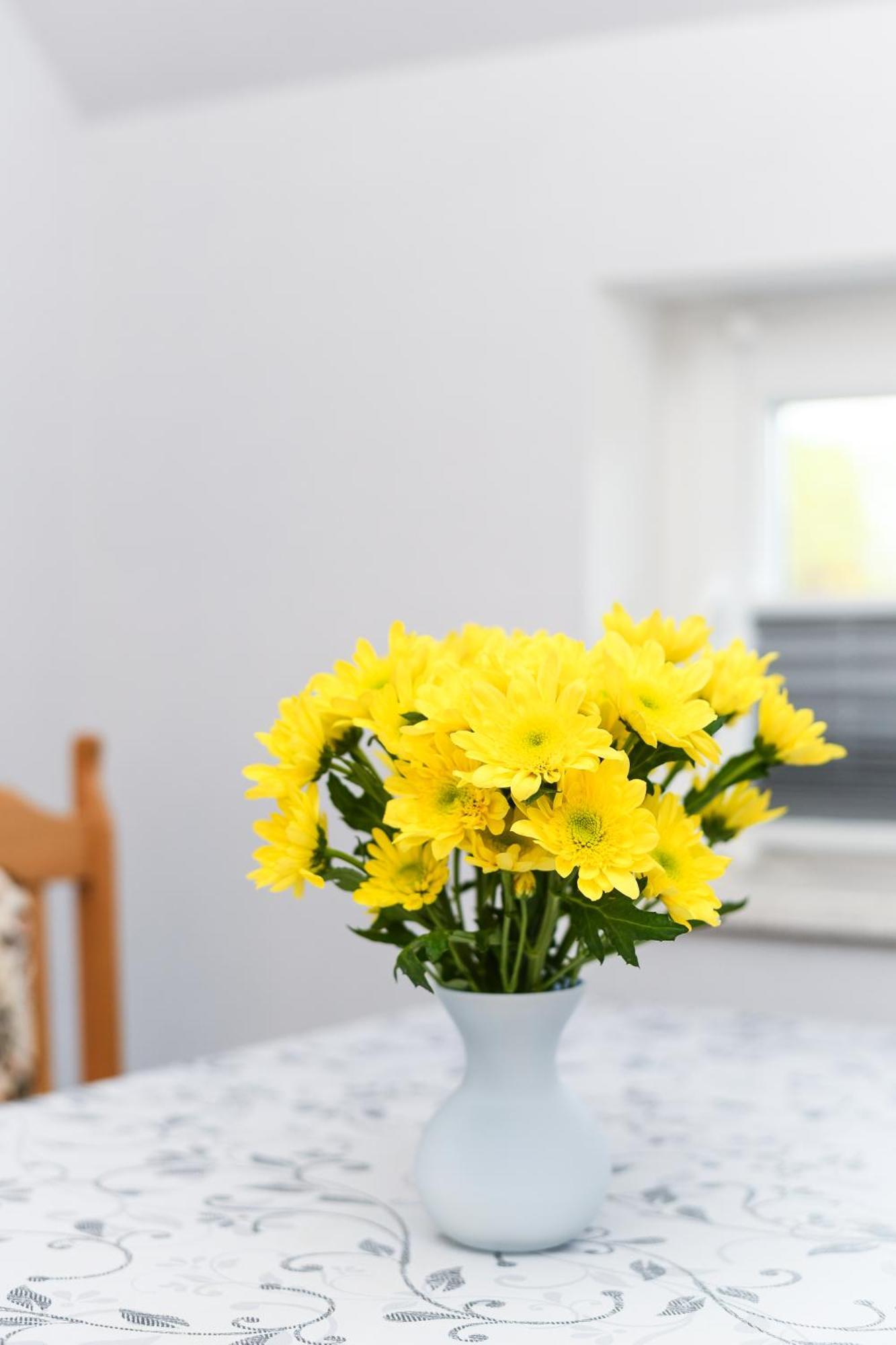Ferienwohnung Nordmoor Blomberg  Dış mekan fotoğraf